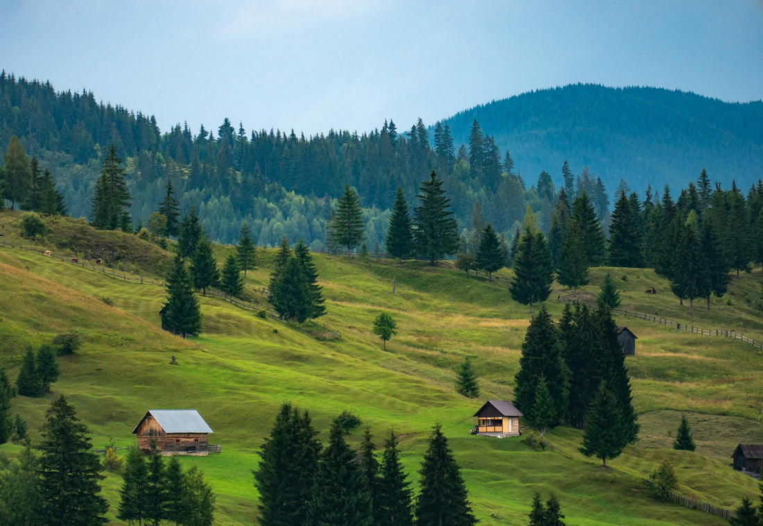 Descoperă România: Destinații de Relaxare și Experiențe Inedite